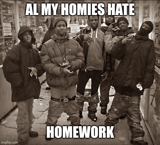 All l my homies hate | AL MY HOMIES HATE; HOMEWORK | image tagged in all my homies hate | made w/ Imgflip meme maker
