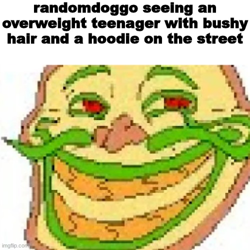 pizza troll | randomdoggo seeing an overweight teenager with bushy hair and a hoodie on the street | image tagged in pizza troll | made w/ Imgflip meme maker