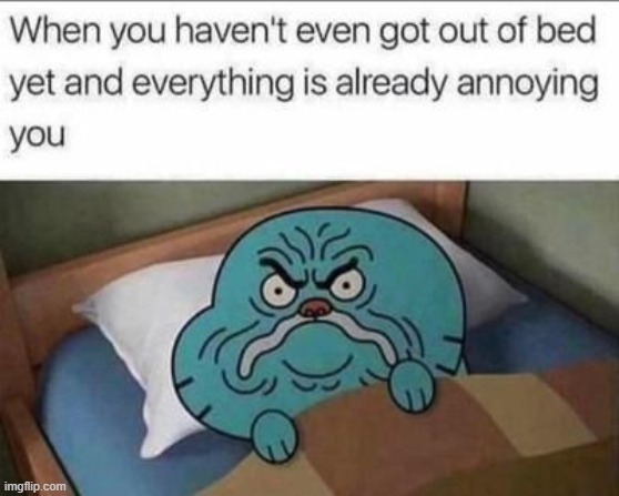 image tagged in memes,funny | made w/ Imgflip meme maker