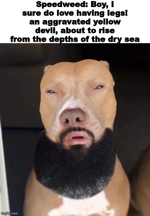 rizz dog | Speedweed: Boy, I sure do love having legs!
an aggravated yellow devil, about to rise from the depths of the dry sea | image tagged in rizz dog | made w/ Imgflip meme maker