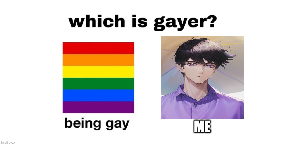 Which Is Gayer? | ME | image tagged in which is gayer | made w/ Imgflip meme maker