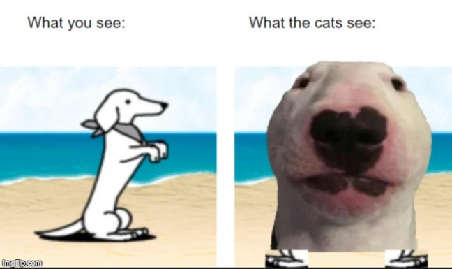 image tagged in memes,funny | made w/ Imgflip meme maker