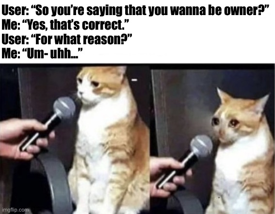 I have literally no reason for wanting to be owner lmao | User: “So you’re saying that you wanna be owner?”
Me: “Yes, that’s correct.”
User: “For what reason?”
Me: “Um- uhh…” | image tagged in crying cat interview horizontal | made w/ Imgflip meme maker