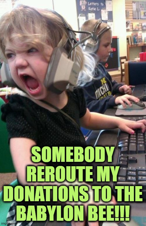 Angry Gamer Girl | SOMEBODY REROUTE MY DONATIONS TO THE BABYLON BEE!!! | image tagged in angry gamer girl | made w/ Imgflip meme maker