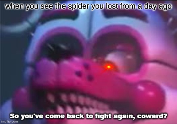 So you;'ve come back to fight again, coward? | when you see the spider you lost from a day ago | image tagged in so you 've come back to fight again coward | made w/ Imgflip meme maker