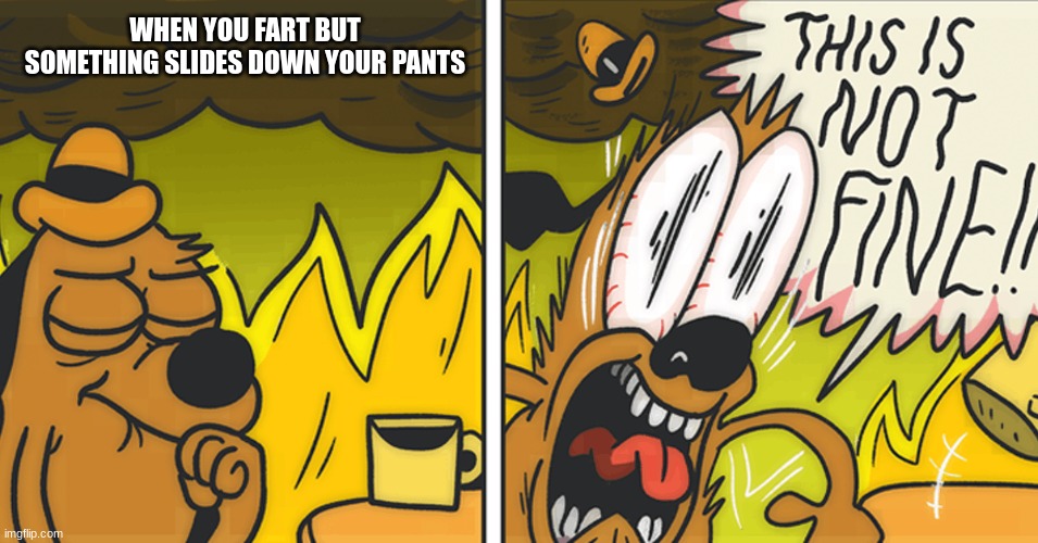 Oh Sh*t moments | WHEN YOU FART BUT SOMETHING SLIDES DOWN YOUR PANTS | image tagged in this is not fine | made w/ Imgflip meme maker