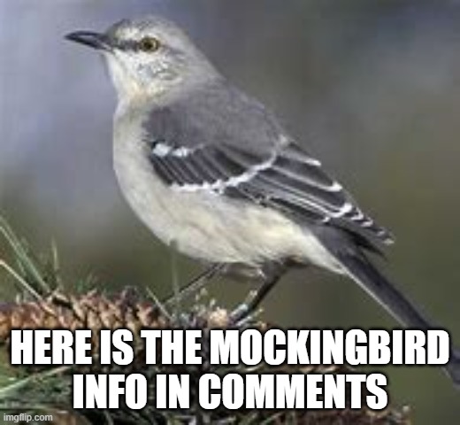 Mockingbird by eminem - Imgflip