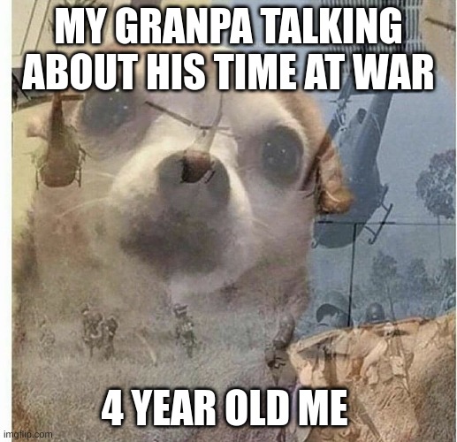 PTSD Chihuahua | MY GRANPA TALKING ABOUT HIS TIME AT WAR; 4 YEAR OLD ME | image tagged in ptsd chihuahua | made w/ Imgflip meme maker