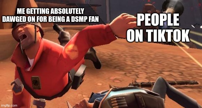 tf2 | ME GETTING ABSOLUTELY DAWGED ON FOR BEING A DSMP FAN; PEOPLE ON TIKTOK | image tagged in tf2,team fortress 2,dsmp | made w/ Imgflip meme maker