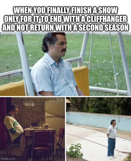 Well?  What happened next? | WHEN YOU FINALLY FINISH A SHOW ONLY FOR IT TO END WITH A CLIFFHANGER AND NOT RETURN WITH A SECOND SEASON | image tagged in memes,sad pablo escobar,cliffhanger | made w/ Imgflip meme maker