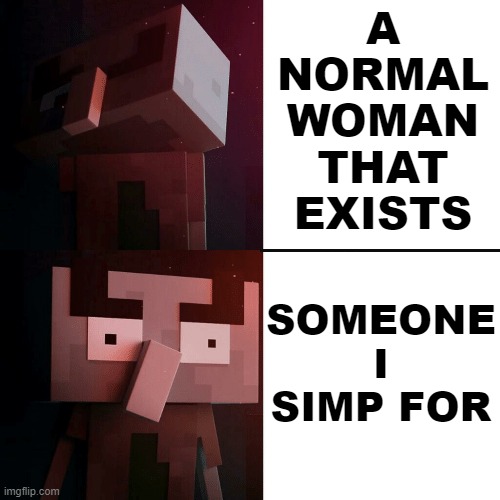 Um...... | A NORMAL WOMAN THAT EXISTS; SOMEONE I SIMP FOR | image tagged in drake illager,simp,stop reading the tags,why am i doing this | made w/ Imgflip meme maker