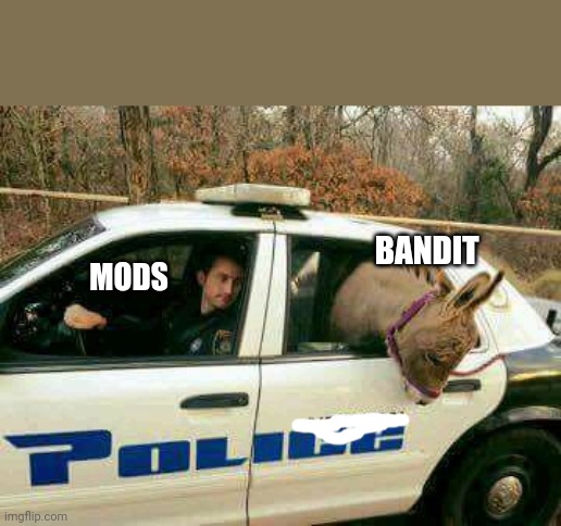 Donkey in Police Car | MODS BANDIT | image tagged in donkey in police car | made w/ Imgflip meme maker