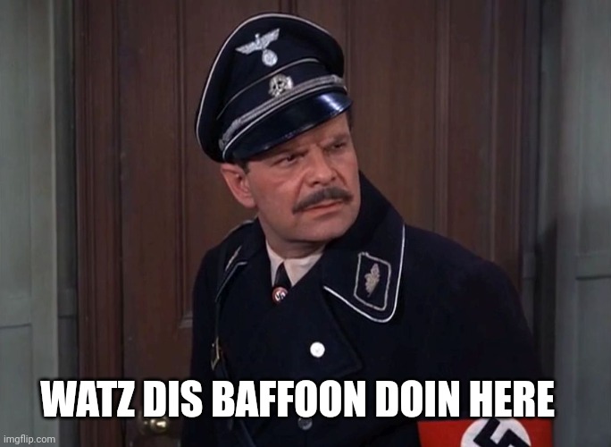 Major Wolfgang Hochstetter | WATZ DIS BAFFOON DOIN HERE | image tagged in major wolfgang hochstetter | made w/ Imgflip meme maker