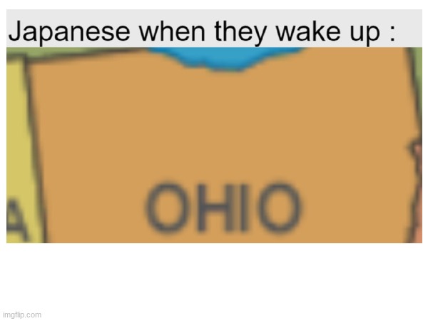 Japanese people | image tagged in ohio | made w/ Imgflip meme maker