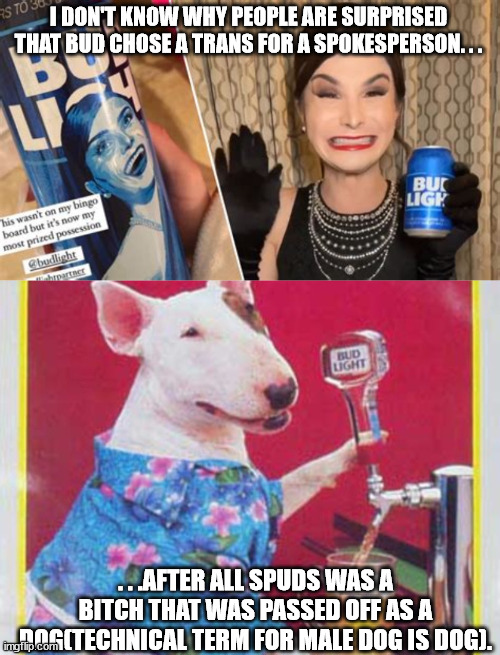 Not the first time Bud this. . . | I DON'T KNOW WHY PEOPLE ARE SURPRISED THAT BUD CHOSE A TRANS FOR A SPOKESPERSON. . . . . .AFTER ALL SPUDS WAS A BITCH THAT WAS PASSED OFF AS A DOG(TECHNICAL TERM FOR MALE DOG IS DOG). | image tagged in bud lite,spuds mackenzie,trans | made w/ Imgflip meme maker