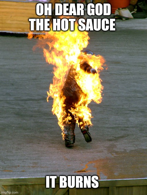 Burnt | OH DEAR GOD THE HOT SAUCE IT BURNS | image tagged in burnt | made w/ Imgflip meme maker