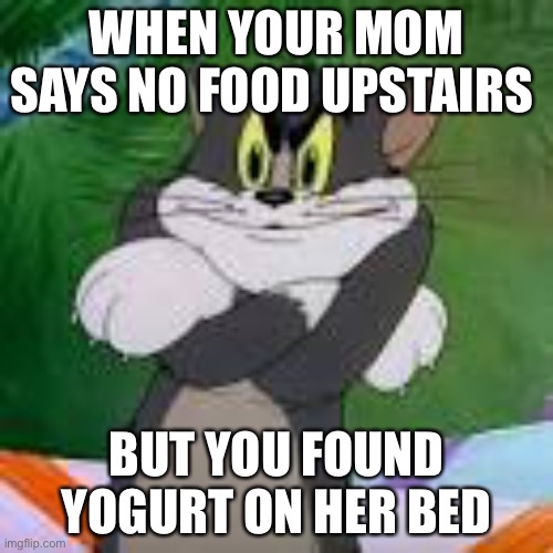 WHEN YOUR MOM SAYS NO FOOD UPSTAIRS; BUT YOU FOUND YOGURT ON HER BED | made w/ Imgflip meme maker