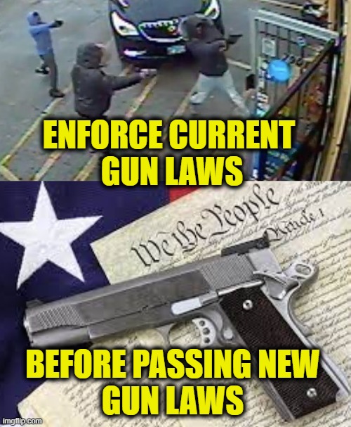 Enforce The Law | ENFORCE CURRENT 
GUN LAWS; BEFORE PASSING NEW
GUN LAWS | image tagged in gun control | made w/ Imgflip meme maker