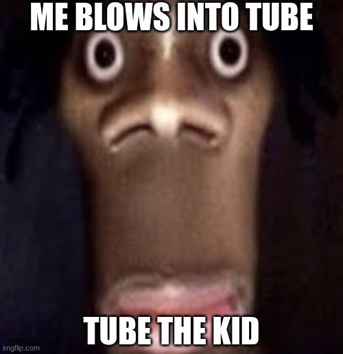 hold up | ME BLOWS INTO TUBE; TUBE THE KID | image tagged in quandale dingle,haha,laugh,funny,memes | made w/ Imgflip meme maker