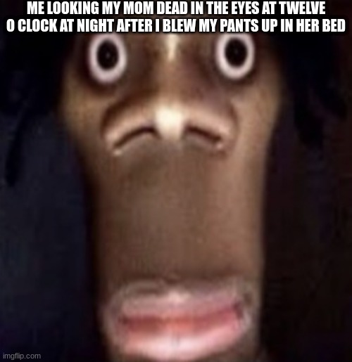 IM dead | ME LOOKING MY MOM DEAD IN THE EYES AT TWELVE O CLOCK AT NIGHT AFTER I BLEW MY PANTS UP IN HER BED | image tagged in quandale dingle,poop,haha,laugh,memes,funny | made w/ Imgflip meme maker