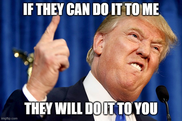 Donald Trump | IF THEY CAN DO IT TO ME; THEY WILL DO IT TO YOU | image tagged in donald trump | made w/ Imgflip meme maker