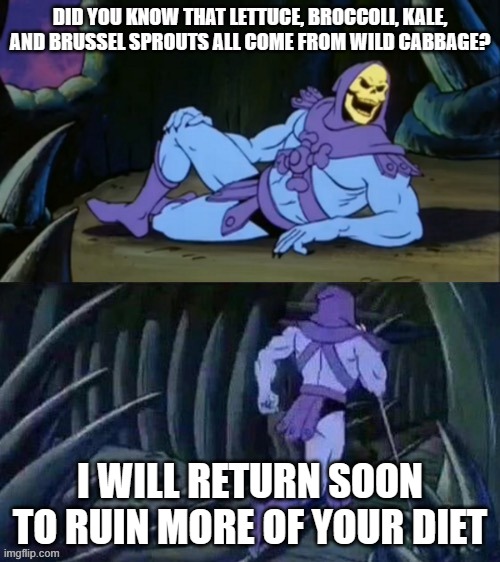 Its true btw. Search it up | DID YOU KNOW THAT LETTUCE, BROCCOLI, KALE, AND BRUSSEL SPROUTS ALL COME FROM WILD CABBAGE? I WILL RETURN SOON TO RUIN MORE OF YOUR DIET | image tagged in skeletor disturbing facts,food,disturbing,funny memes | made w/ Imgflip meme maker