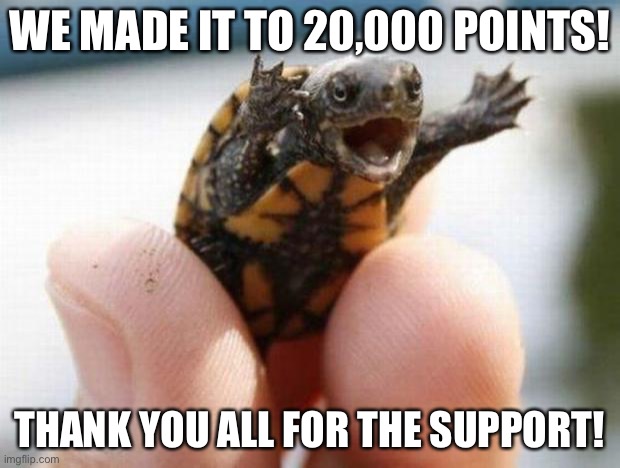 Thank you! | WE MADE IT TO 20,000 POINTS! THANK YOU ALL FOR THE SUPPORT! | image tagged in happy baby turtle | made w/ Imgflip meme maker