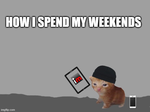 skibidi bopbopbopbop yesyesyes skibididip skibididop | HOW I SPEND MY WEEKENDS | image tagged in a | made w/ Imgflip meme maker