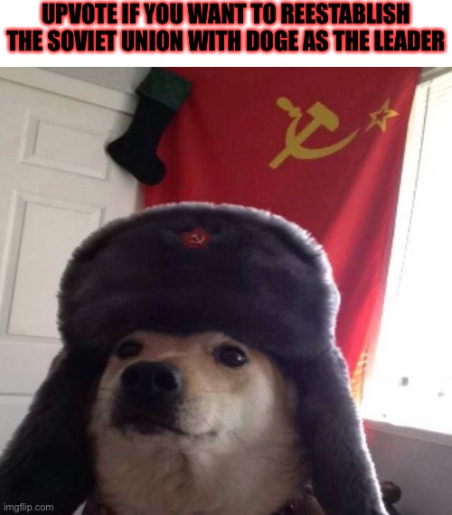 Doge | UPVOTE IF YOU WANT TO REESTABLISH THE SOVIET UNION WITH DOGE AS THE LEADER | image tagged in russian doge | made w/ Imgflip meme maker