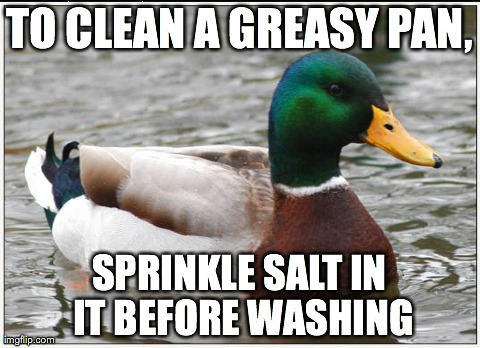 Actual Advice Mallard Meme | TO CLEAN A GREASY PAN, SPRINKLE SALT IN IT BEFORE WASHING | image tagged in memes,actual advice mallard,AdviceAnimals | made w/ Imgflip meme maker