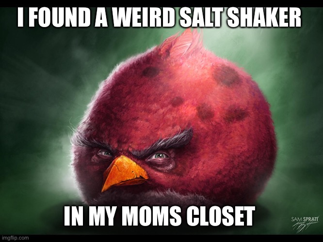 Hmm | I FOUND A WEIRD SALT SHAKER; IN MY MOMS CLOSET | image tagged in realistic angry bird big red | made w/ Imgflip meme maker