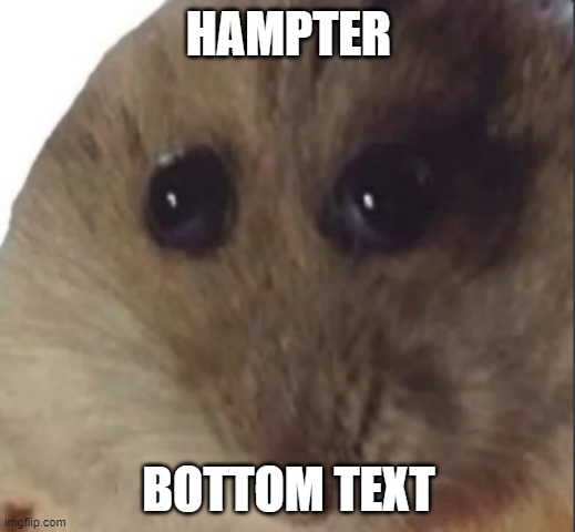 Hampter | HAMPTER BOTTOM TEXT | image tagged in hampter | made w/ Imgflip meme maker