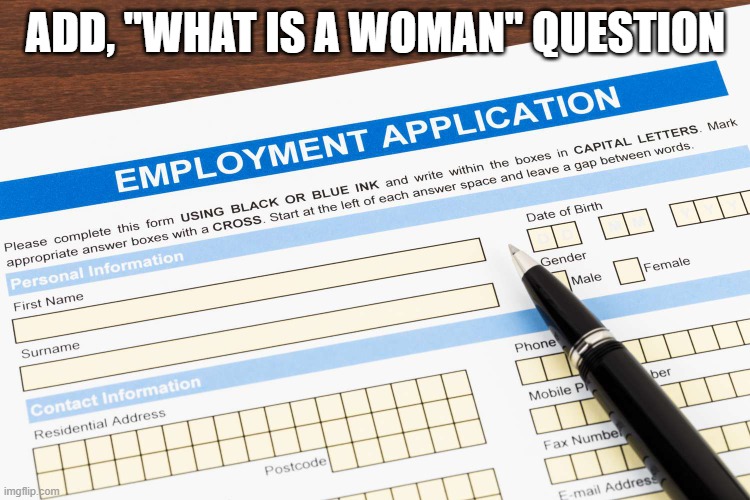 Add, "What Is A Woman" question | ADD, "WHAT IS A WOMAN" QUESTION | image tagged in jobs,woke | made w/ Imgflip meme maker