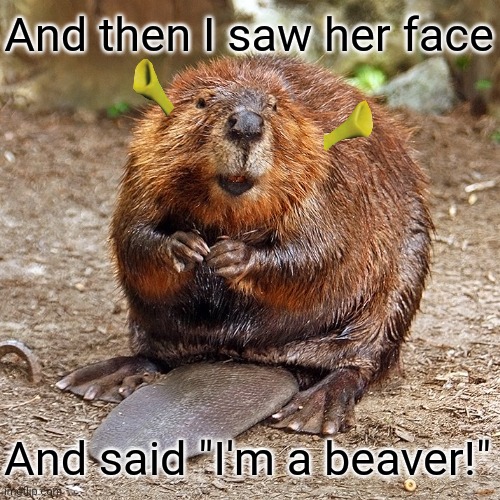 And then I saw her face; And said "I'm a beaver!" | image tagged in shrek | made w/ Imgflip meme maker