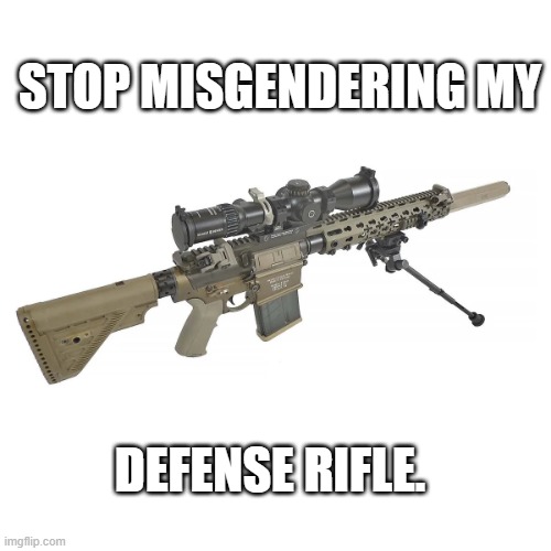 defense rifle | STOP MISGENDERING MY; DEFENSE RIFLE. | image tagged in defense rifle | made w/ Imgflip meme maker