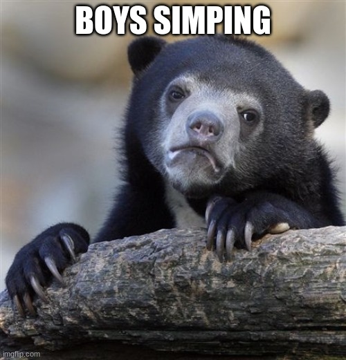 Confession Bear Meme | BOYS SIMPING | image tagged in memes,confession bear | made w/ Imgflip meme maker