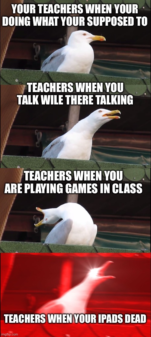 Inhaling Seagull | YOUR TEACHERS WHEN YOUR DOING WHAT YOUR SUPPOSED TO; TEACHERS WHEN YOU TALK WILE THERE TALKING; TEACHERS WHEN YOU ARE PLAYING GAMES IN CLASS; TEACHERS WHEN YOUR IPADS DEAD | image tagged in memes,inhaling seagull,every teacher ever | made w/ Imgflip meme maker