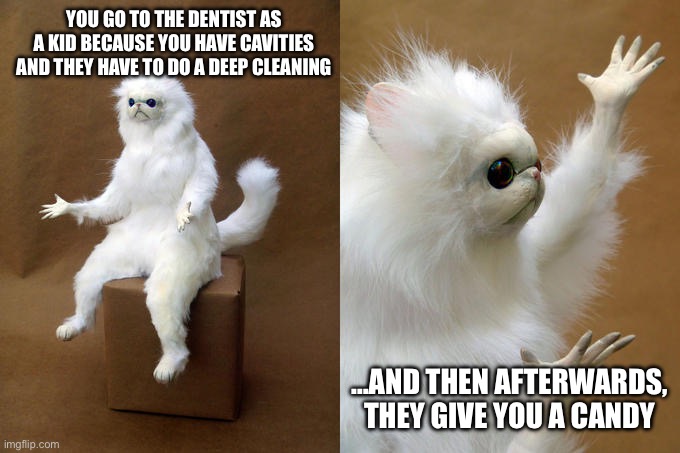 Dentists. | YOU GO TO THE DENTIST AS A KID BECAUSE YOU HAVE CAVITIES AND THEY HAVE TO DO A DEEP CLEANING; …AND THEN AFTERWARDS, THEY GIVE YOU A CANDY | image tagged in memes,persian cat room guardian | made w/ Imgflip meme maker