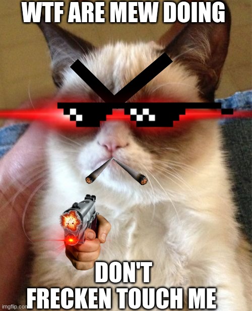 pov:mean cats act like | WTF ARE MEW DOING; DON'T FRECKEN TOUCH ME | image tagged in memes,grumpy cat,cats with guns,cats,funny memes,funny | made w/ Imgflip meme maker