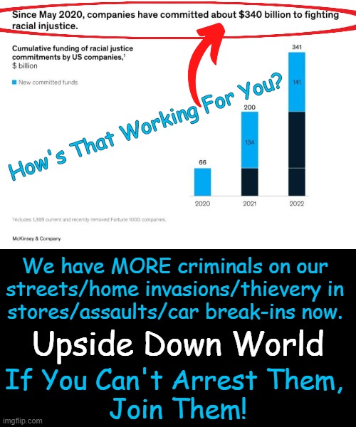 The Only Injustice is Towards Good, Hard-Working Americans. | How's That Working For You? We have MORE criminals on our 
streets/home invasions/thievery in 
stores/assaults/car break-ins now. Upside Down World; If You Can't Arrest Them, 
Join Them! | image tagged in politics,injustice,hard work,americans,law and order,blm | made w/ Imgflip meme maker