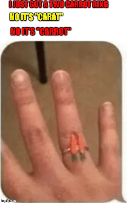 Annoying Grammar Police | I JUST GOT A TWO CARROT RING; NO IT'S "CARAT"; NO IT'S "CARROT" | image tagged in grammar,grammar nazi,police,carrot | made w/ Imgflip meme maker
