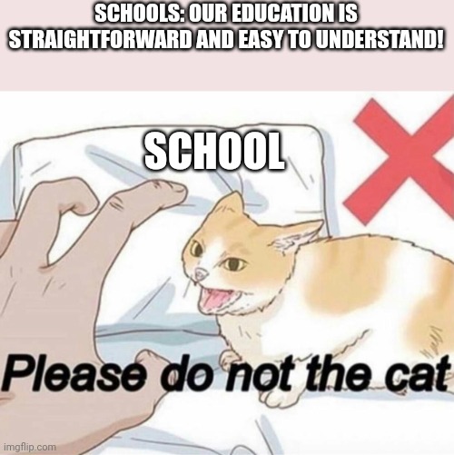 Please do not the cat | SCHOOLS: OUR EDUCATION IS STRAIGHTFORWARD AND EASY TO UNDERSTAND! SCHOOL | image tagged in please do not the cat | made w/ Imgflip meme maker