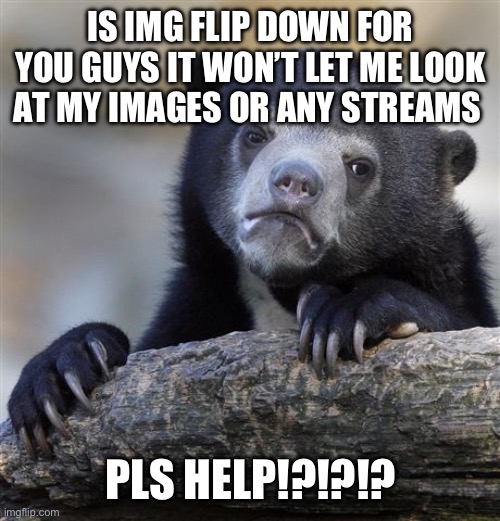 Confession Bear Meme | IS IMG FLIP DOWN FOR YOU GUYS IT WON’T LET ME LOOK AT MY IMAGES OR ANY STREAMS; PLS HELP!?!?!? | image tagged in memes,confession bear | made w/ Imgflip meme maker
