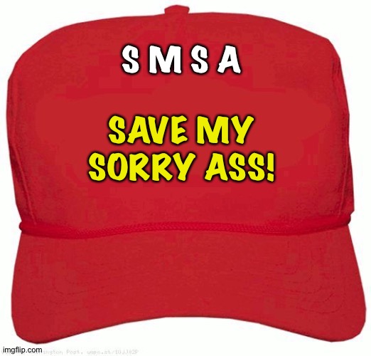 Trump's new message: | S M S A; SAVE MY
SORRY ASS! | image tagged in red hat | made w/ Imgflip meme maker