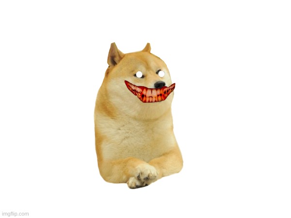smile dog | image tagged in smile | made w/ Imgflip meme maker