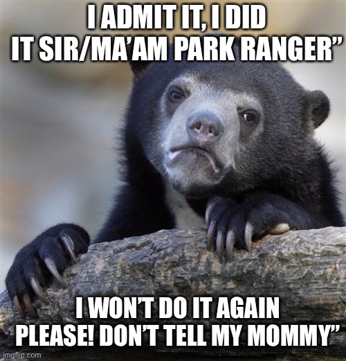 Confession Bear Meme | I ADMIT IT, I DID IT SIR/MA’AM PARK RANGER”; I WON’T DO IT AGAIN PLEASE! DON’T TELL MY MOMMY” | image tagged in memes,confession bear | made w/ Imgflip meme maker