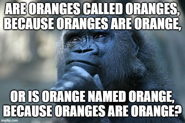 Deep Thoughts | ARE ORANGES CALLED ORANGES, BECAUSE ORANGES ARE ORANGE, OR IS ORANGE NAMED ORANGE, BECAUSE ORANGES ARE ORANGE? | image tagged in deep thoughts | made w/ Imgflip meme maker