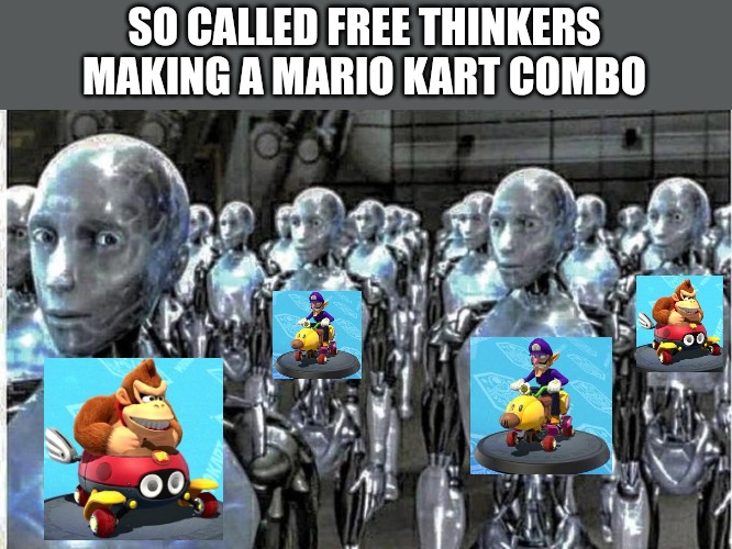 so called free thinkers | SO CALLED FREE THINKERS MAKING A MARIO KART COMBO | image tagged in so called free thinkers | made w/ Imgflip meme maker