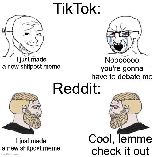 Reddit > TikTok | TikTok:; I just made a new shitpost meme; Nooooooo you're gonna have to debate me; Reddit:; Cool, lemme check it out; I just made a new shitpost meme | image tagged in chad we know,reddit,tiktok | made w/ Imgflip meme maker