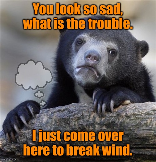 What is the trouble? | You look so sad, what is the trouble. I just come over here to break wind. | image tagged in memes,confession bear,sad bear,in trouble,just breaking wind,fun | made w/ Imgflip meme maker